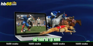 the-thao-ao-tai-hb88